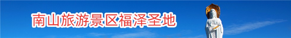 舔逼视频网