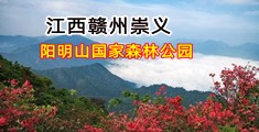 男鸡巴操女逼试频